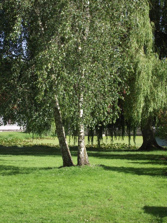 Les Portes Des Froises Saint-Quentin-en-Tourmont Exterior foto